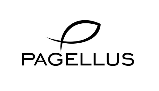 logo.jpg